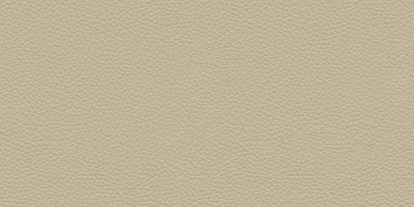 Leather_beige